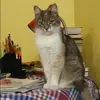 Отзыв от Лера Рожкова